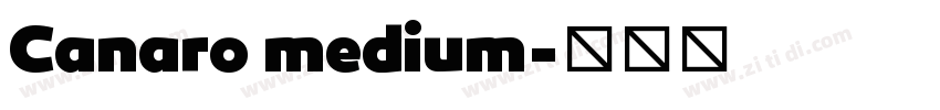 Canaro medium字体转换